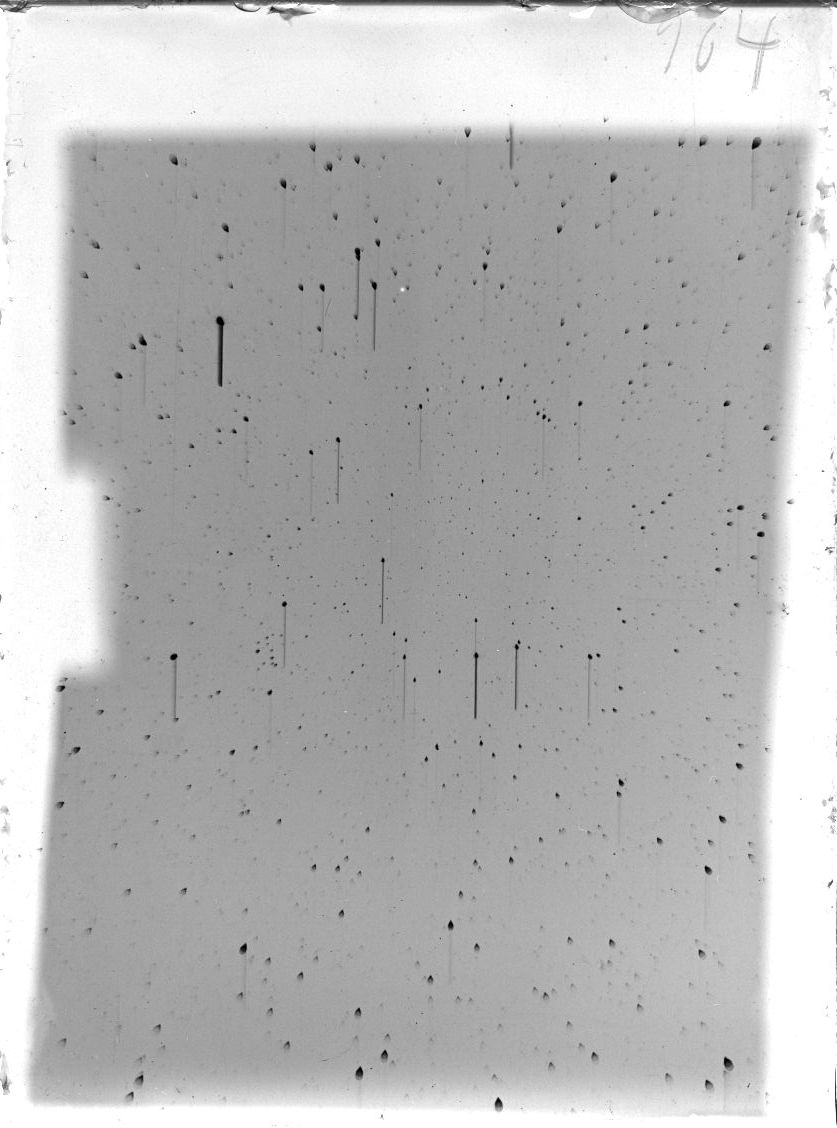 Scan ST00904