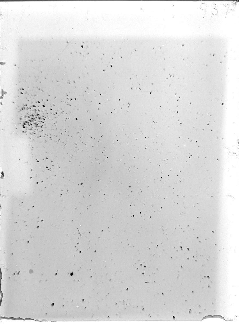 Scan ST00937