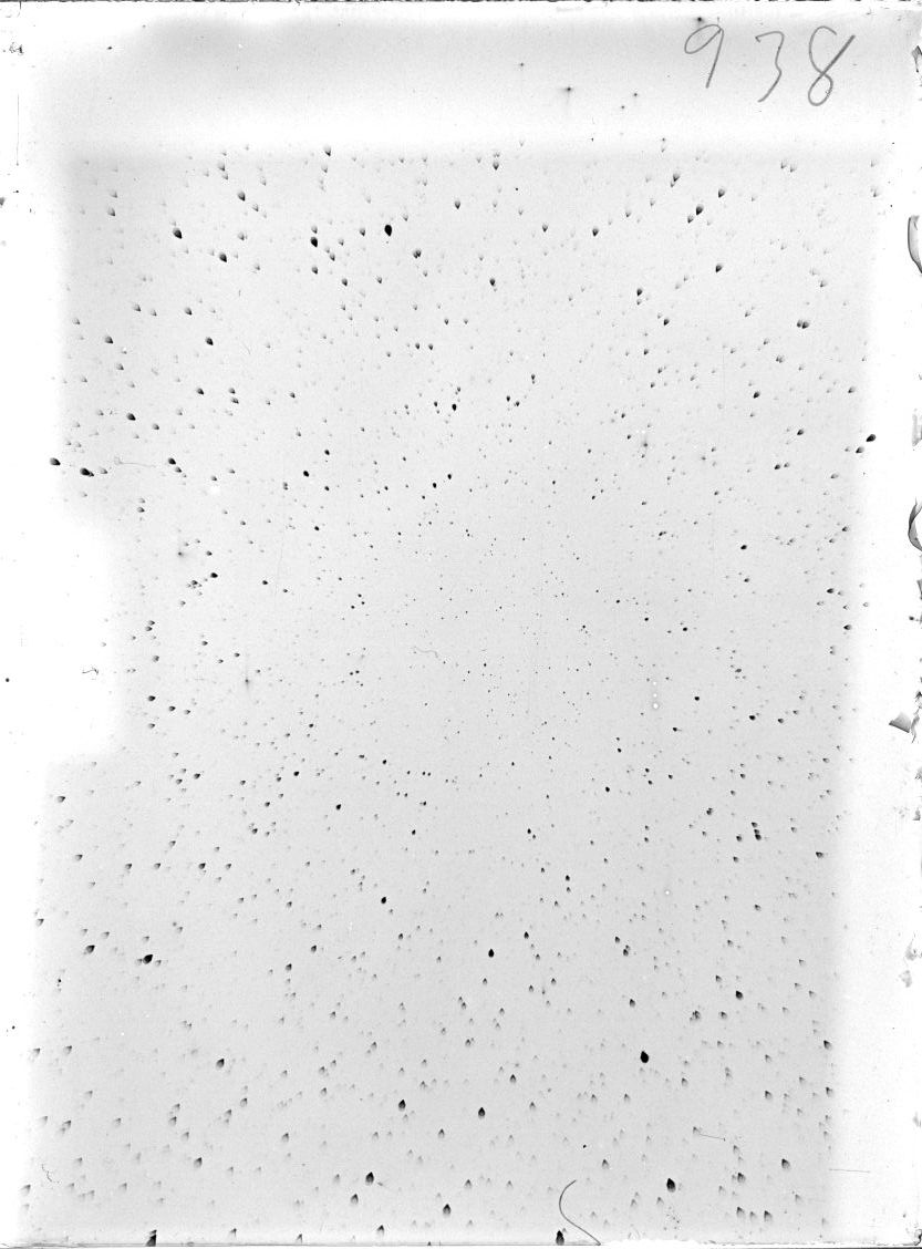 Scan ST00938