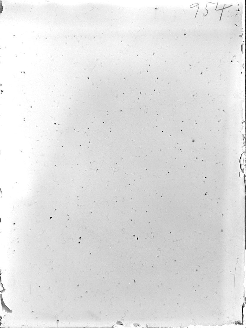 Scan ST00954