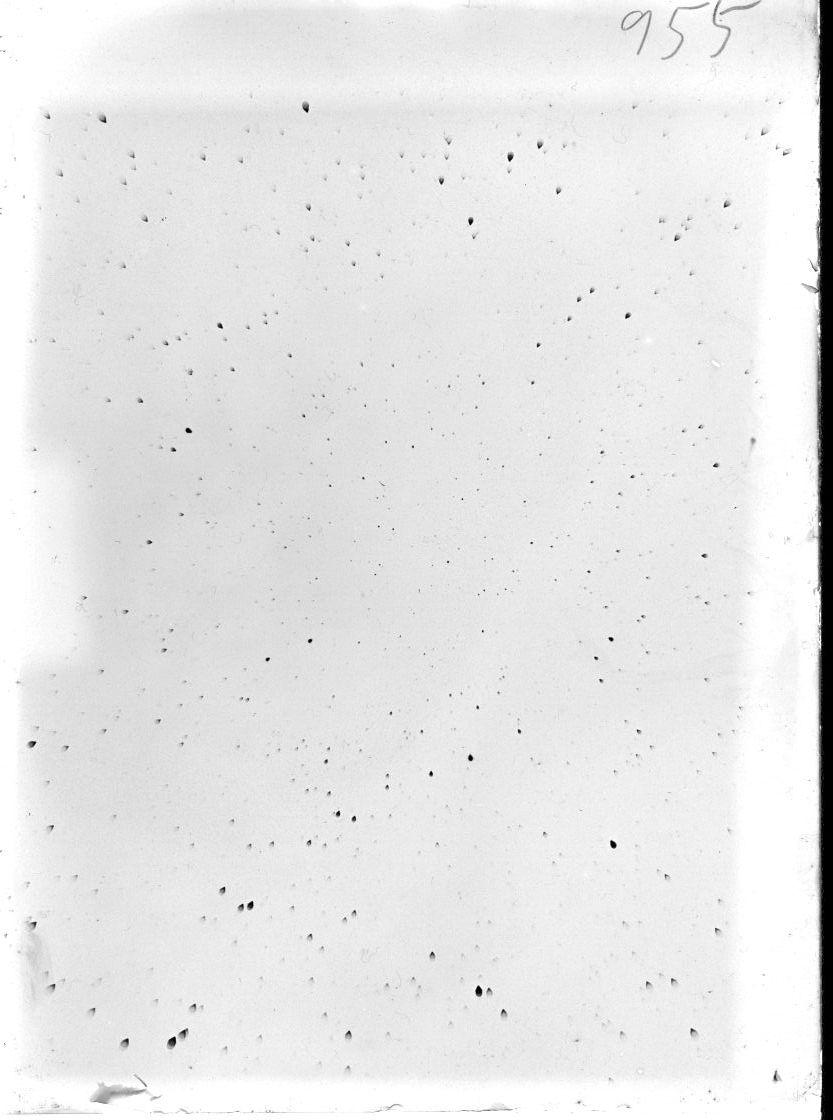 Scan ST00955