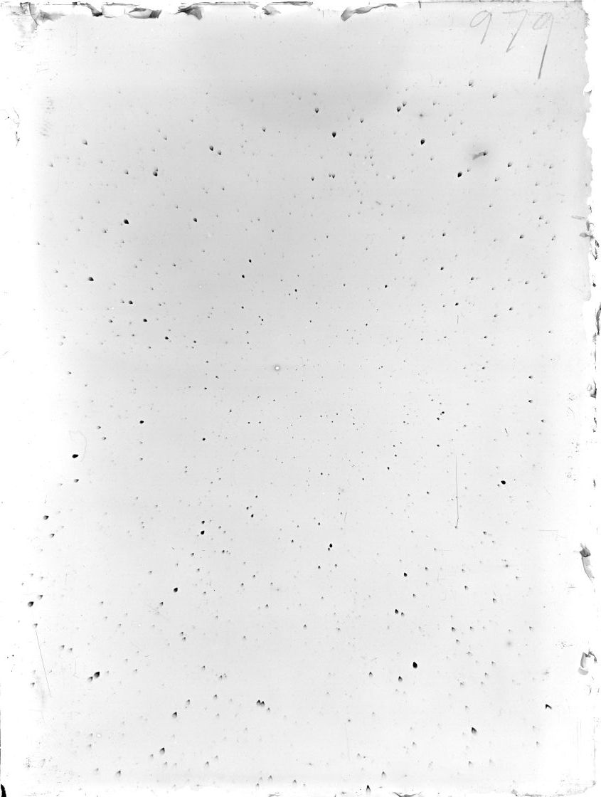 Scan ST00979
