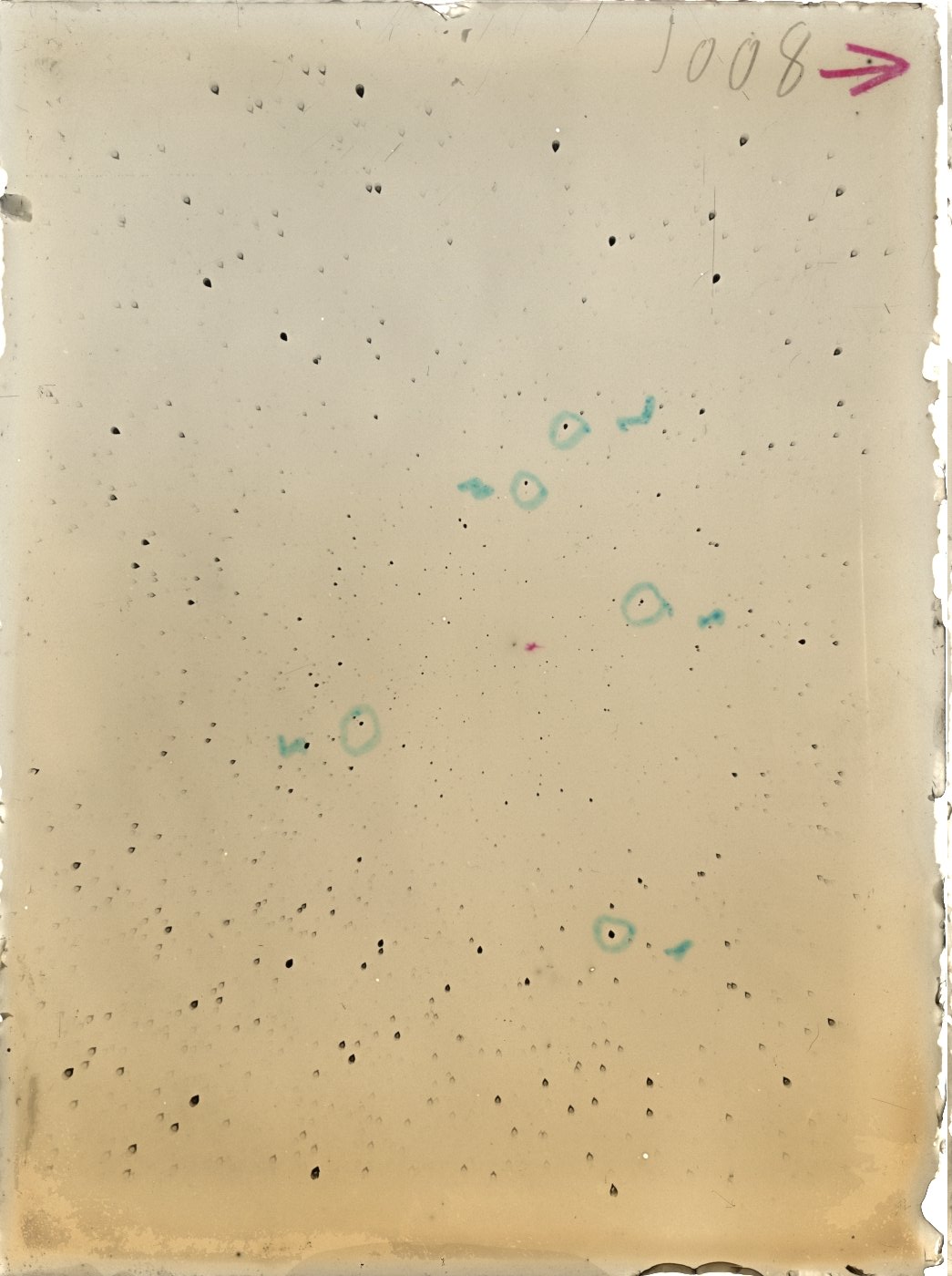 Scan ST01008