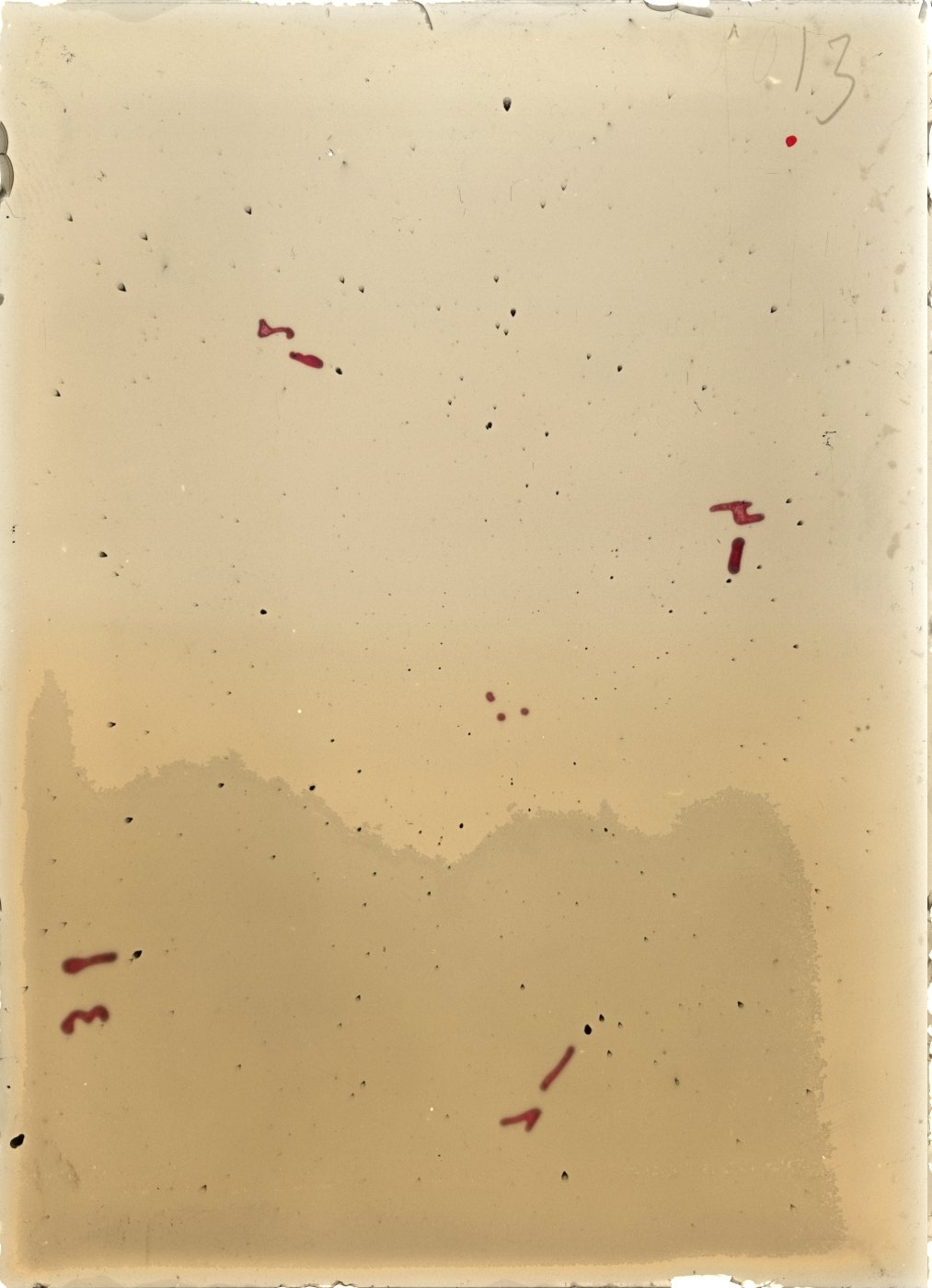 Scan ST01013