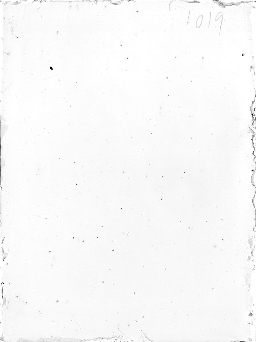 Scan ST01019