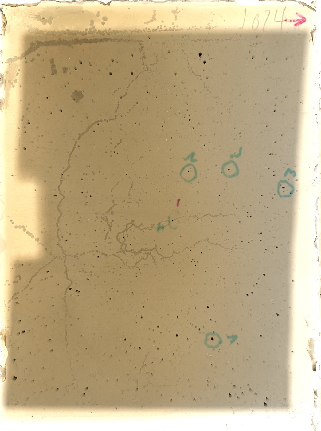 Scan ST01024