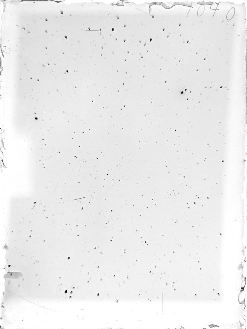 Scan ST01040
