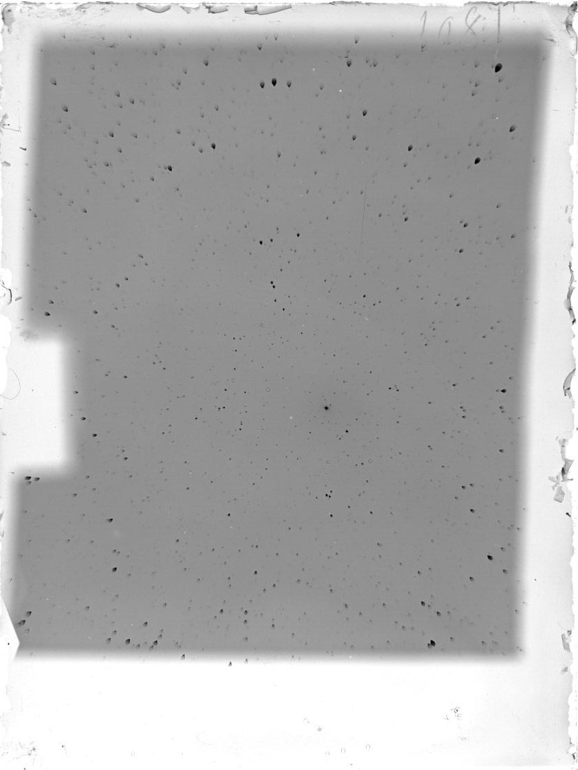 Scan ST01081
