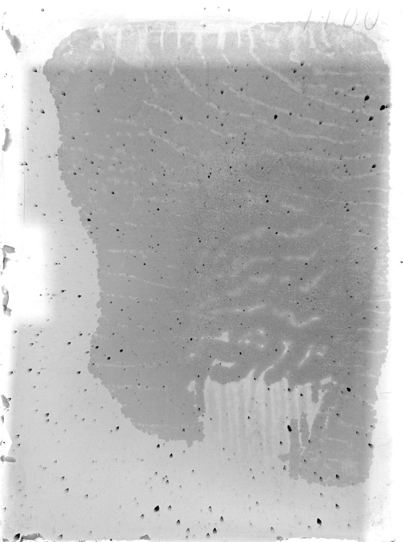 Scan ST01100