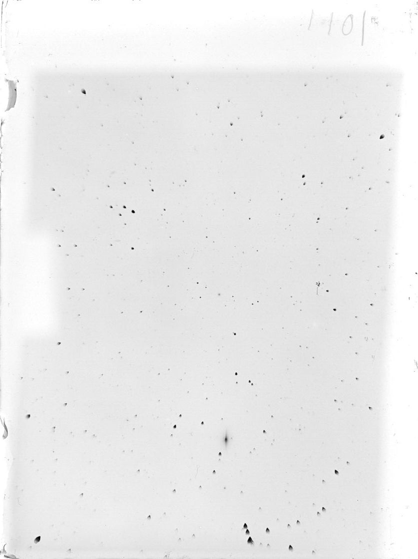 Scan ST01101