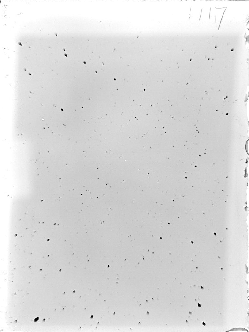 Scan ST01117