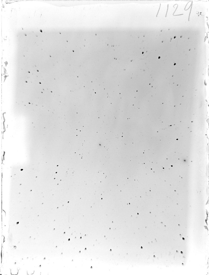 Scan ST01129