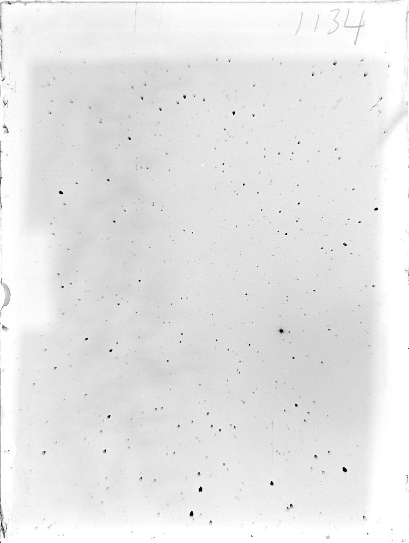 Scan ST01134
