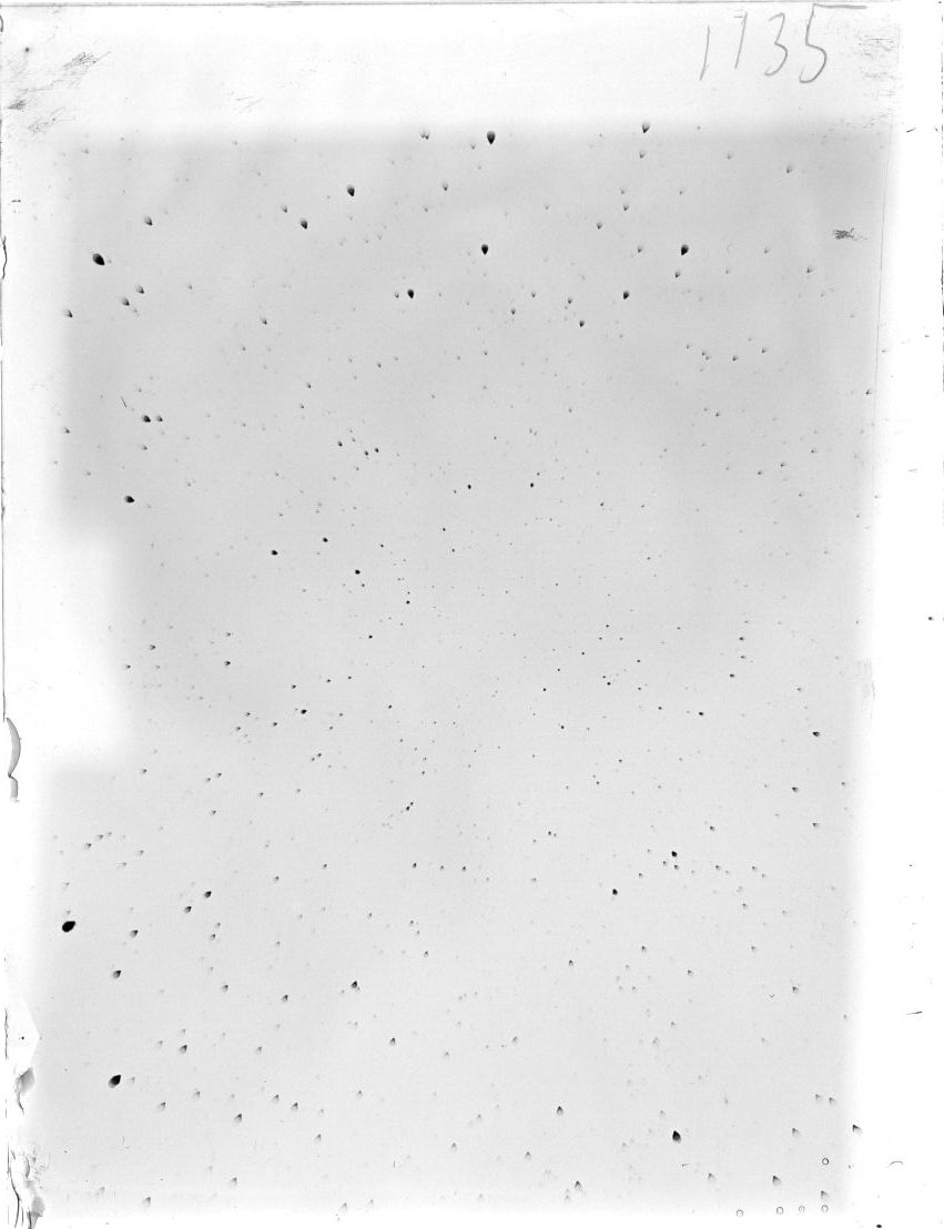 Scan ST01135