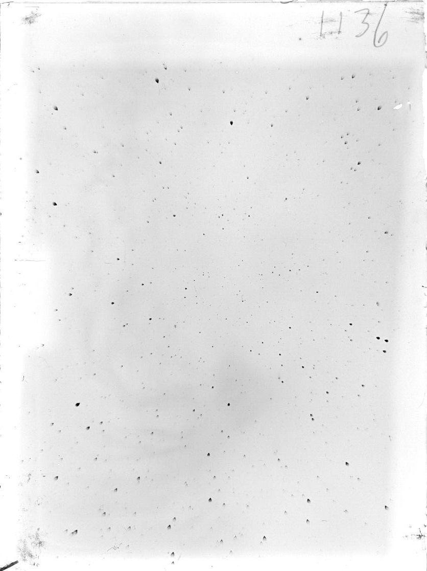 Scan ST01136