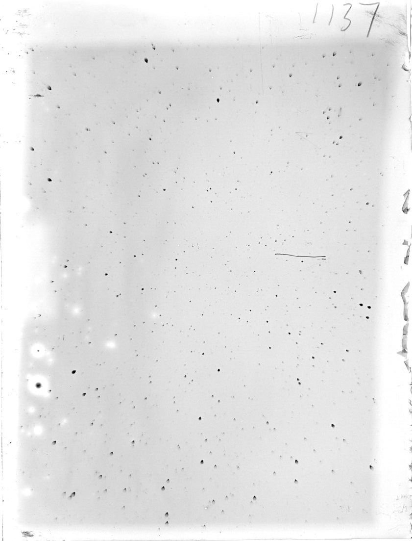 Scan ST01137