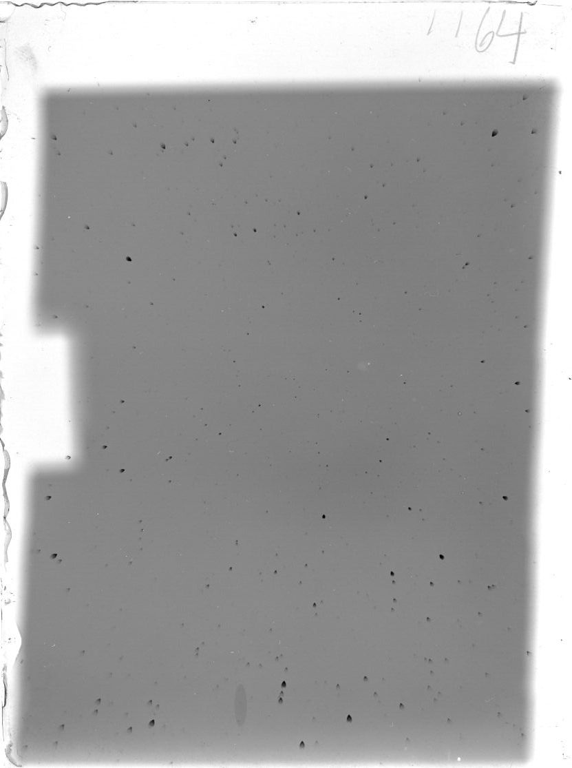 Scan ST01164
