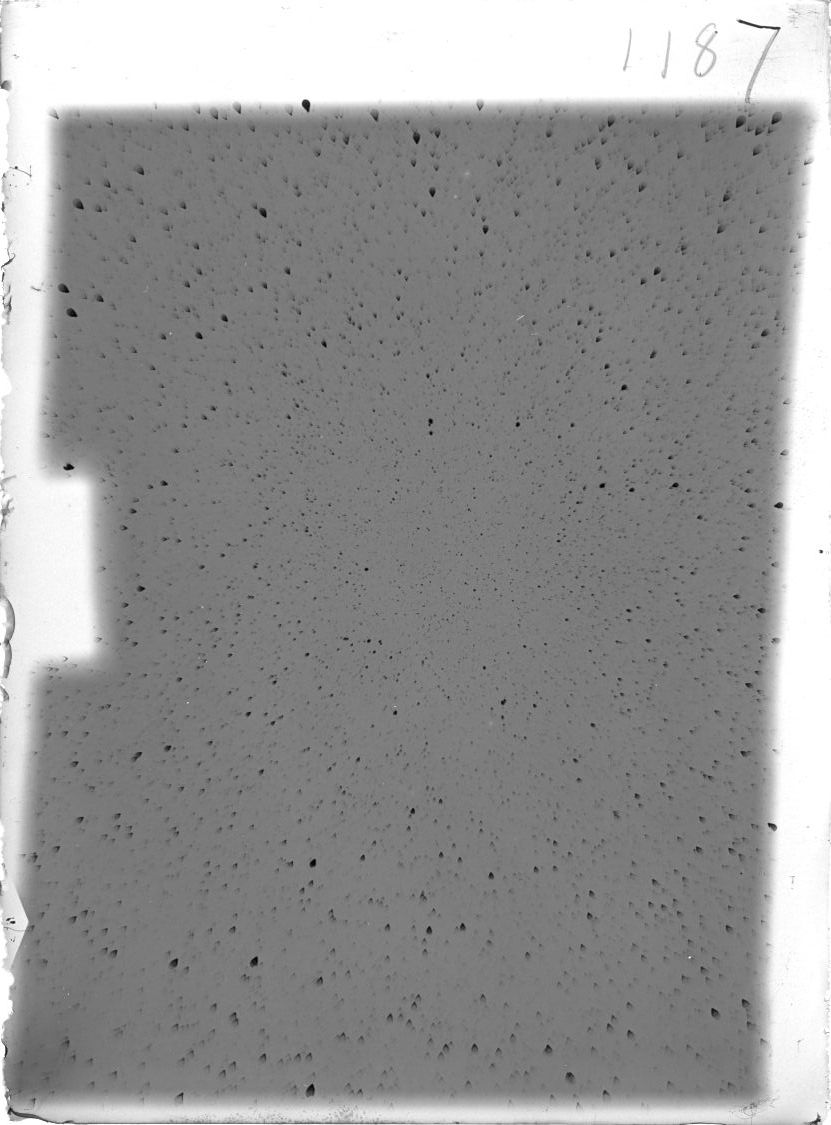 Scan ST01187