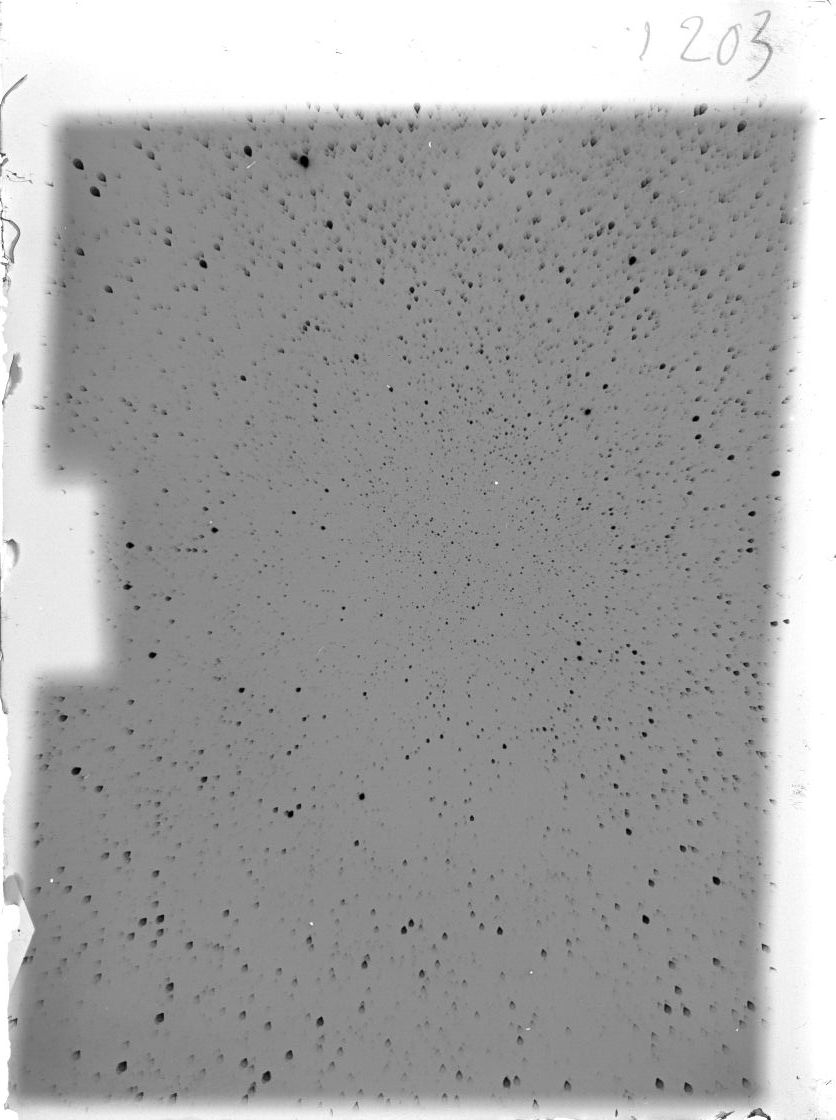 Scan ST01203