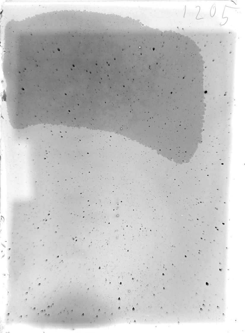 Scan ST01205