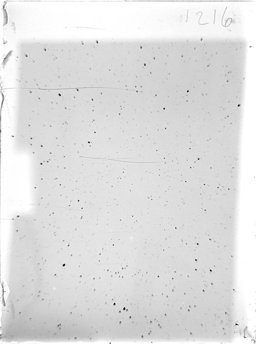 Scan ST01216
