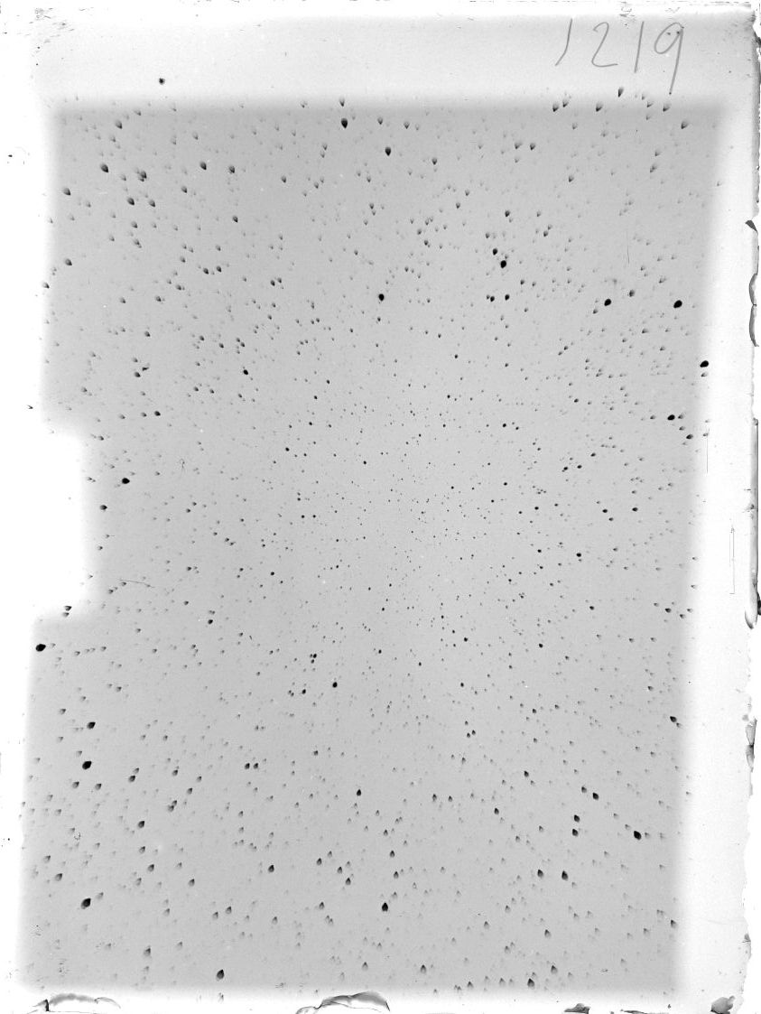 Scan ST01219