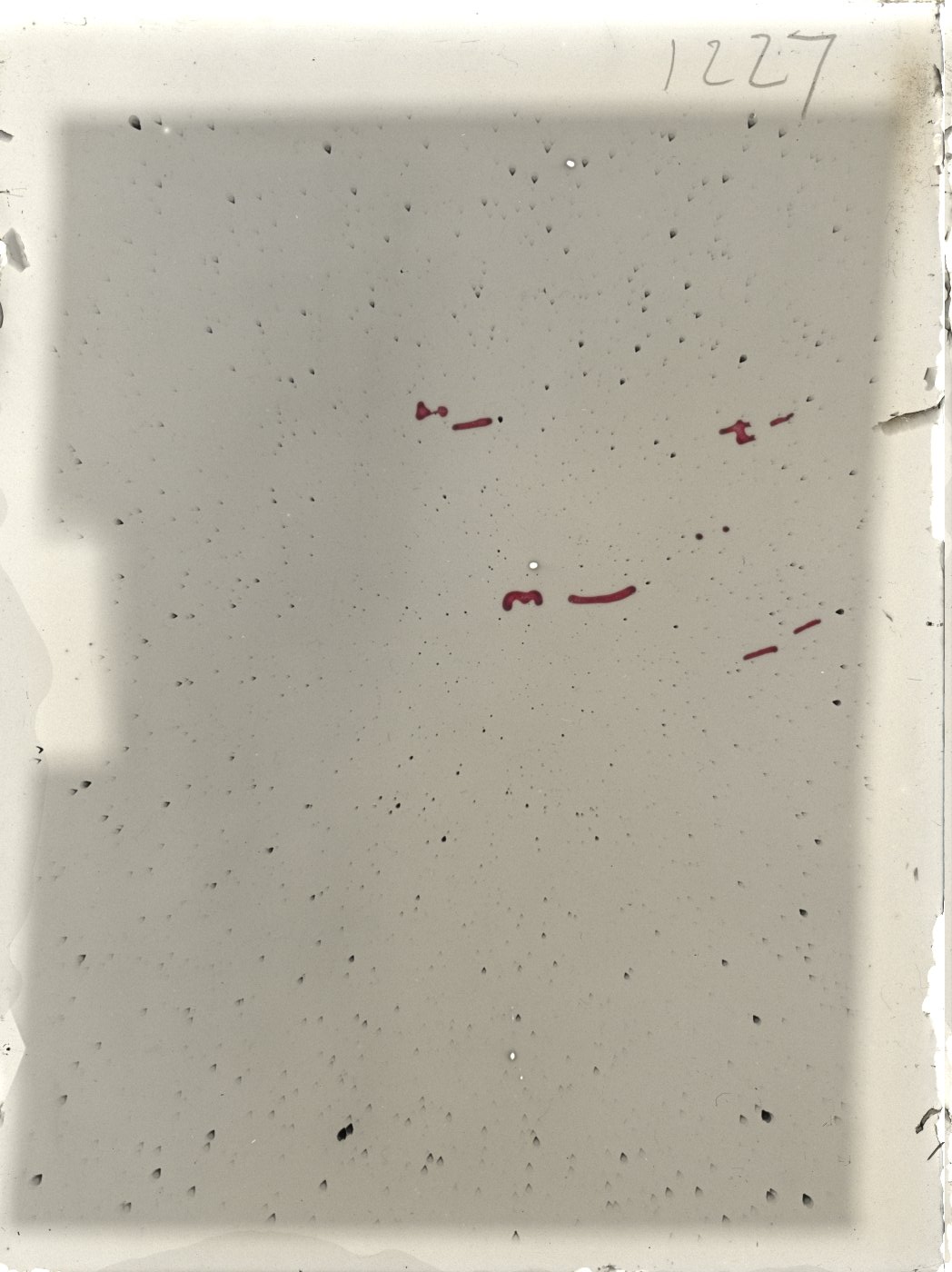 Scan ST01227