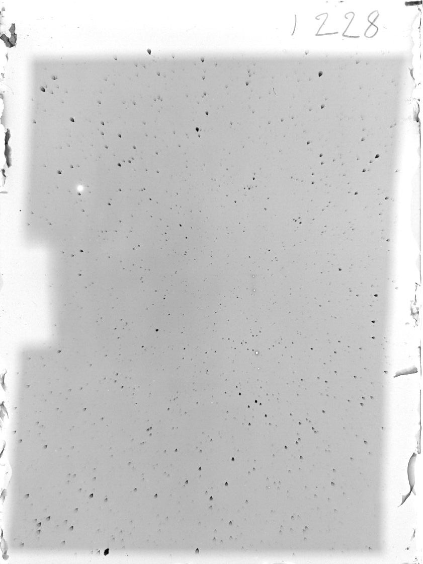 Scan ST01228