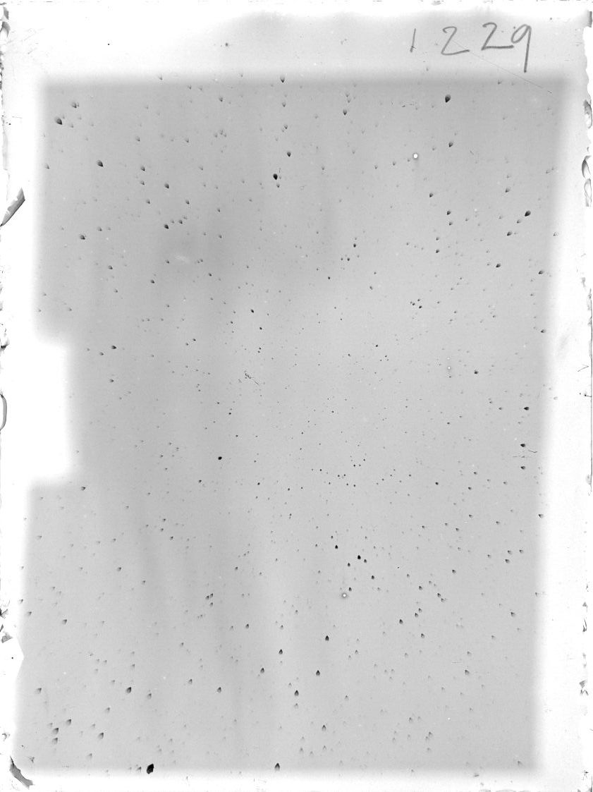 Scan ST01229
