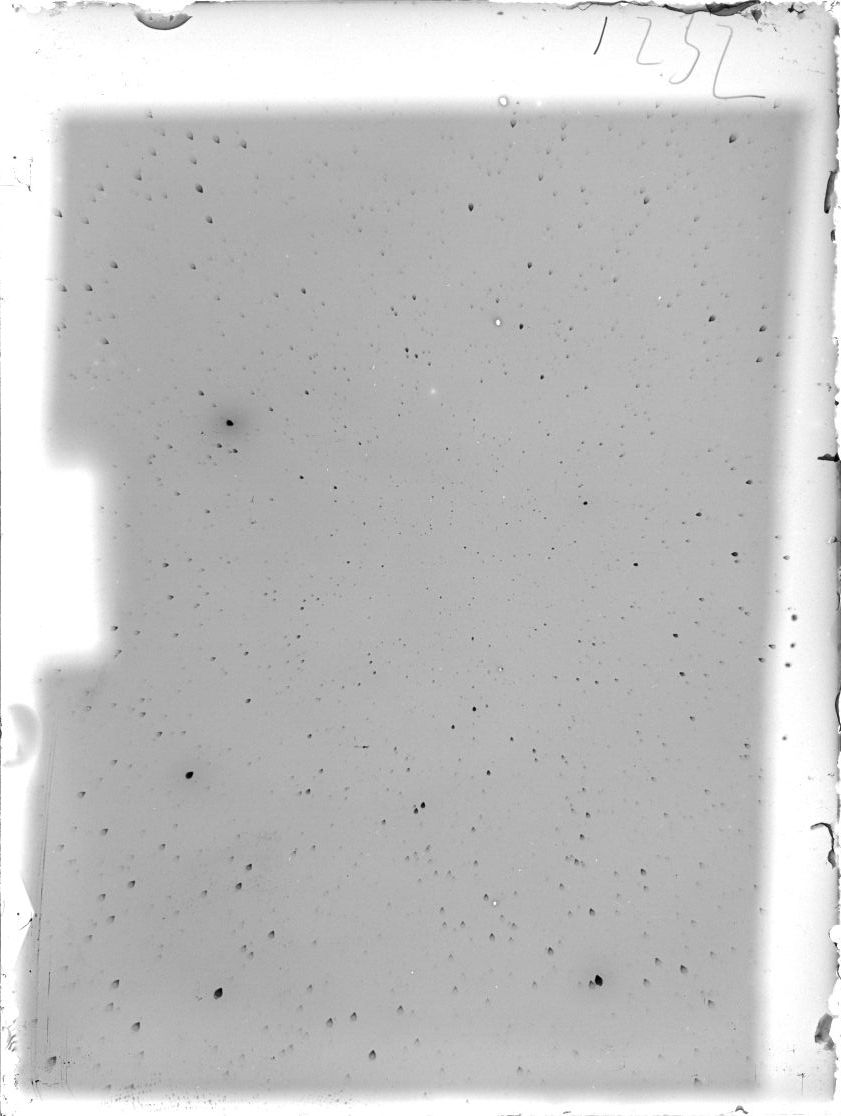Scan ST01232