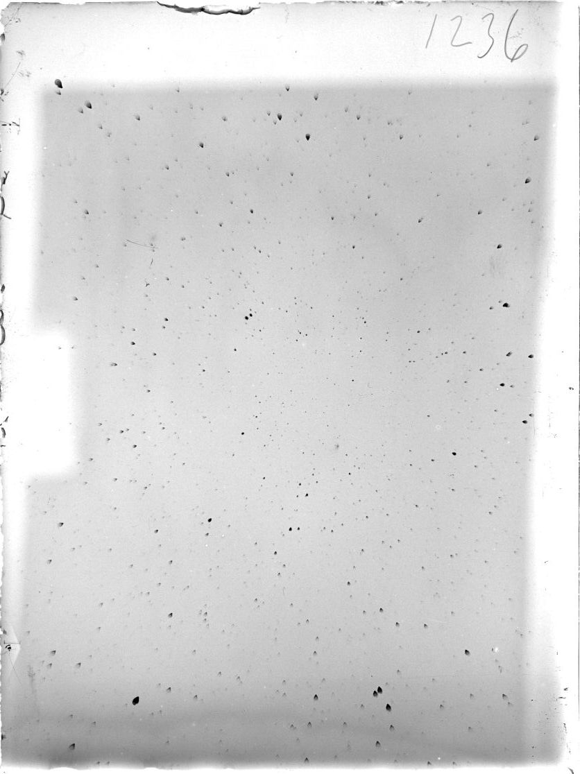 Scan ST01236