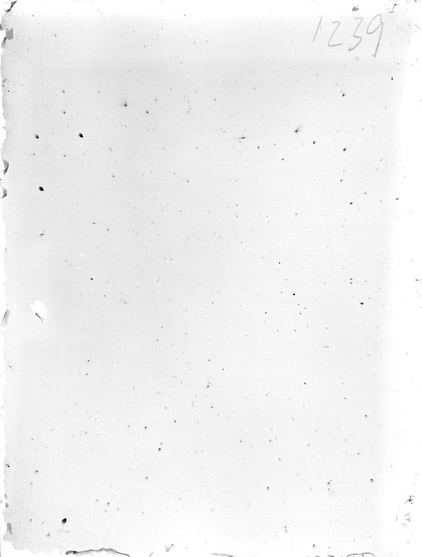 Scan ST01239
