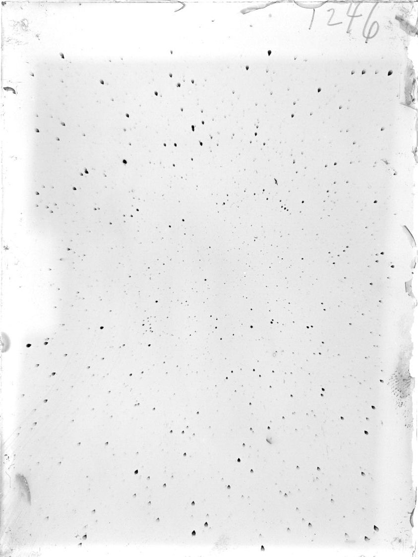 Scan ST01246