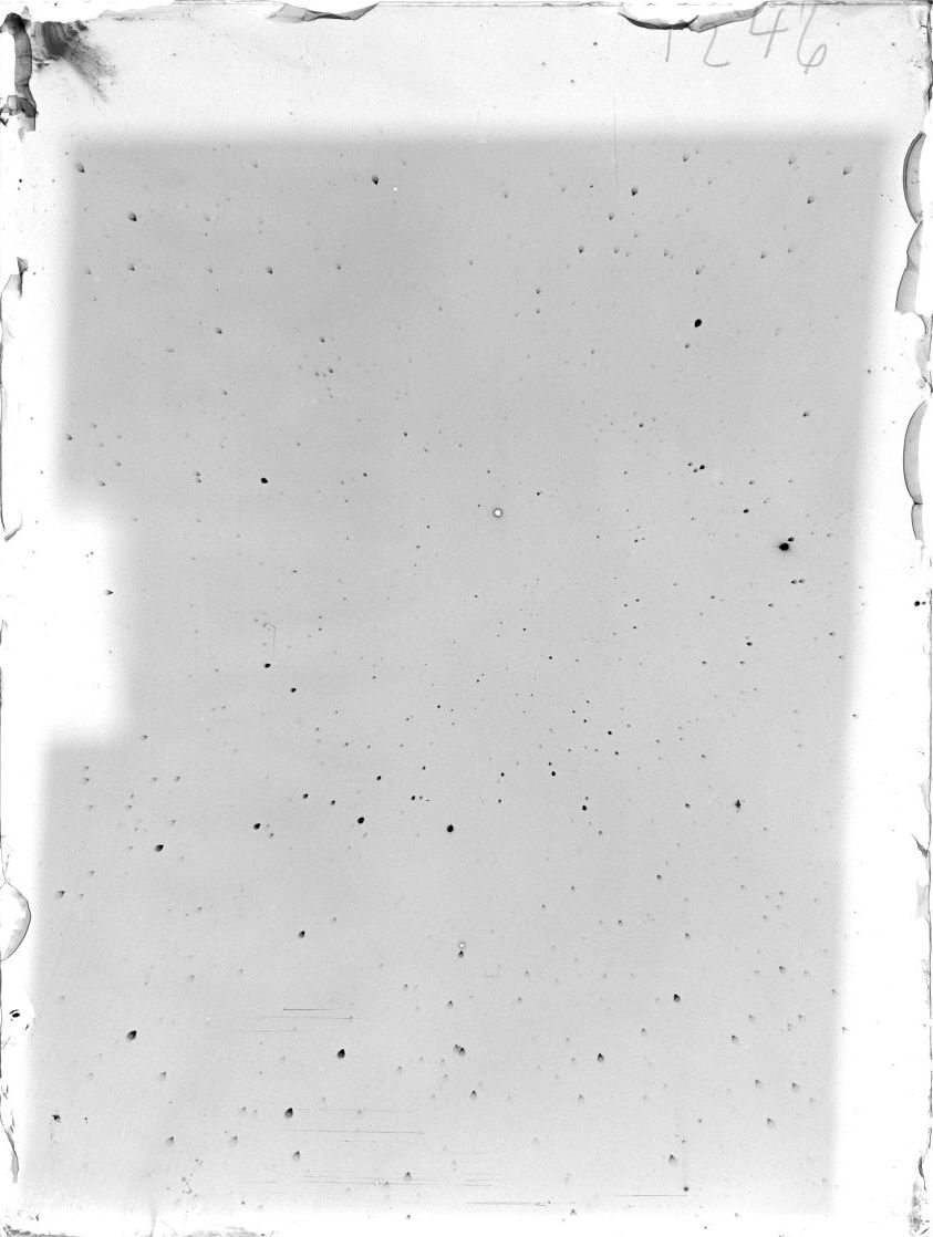 Scan ST01248