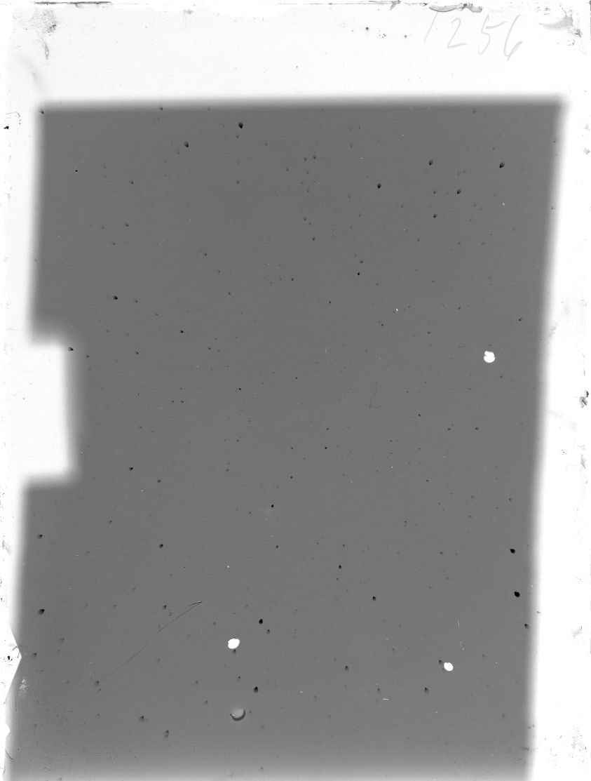Scan ST01256