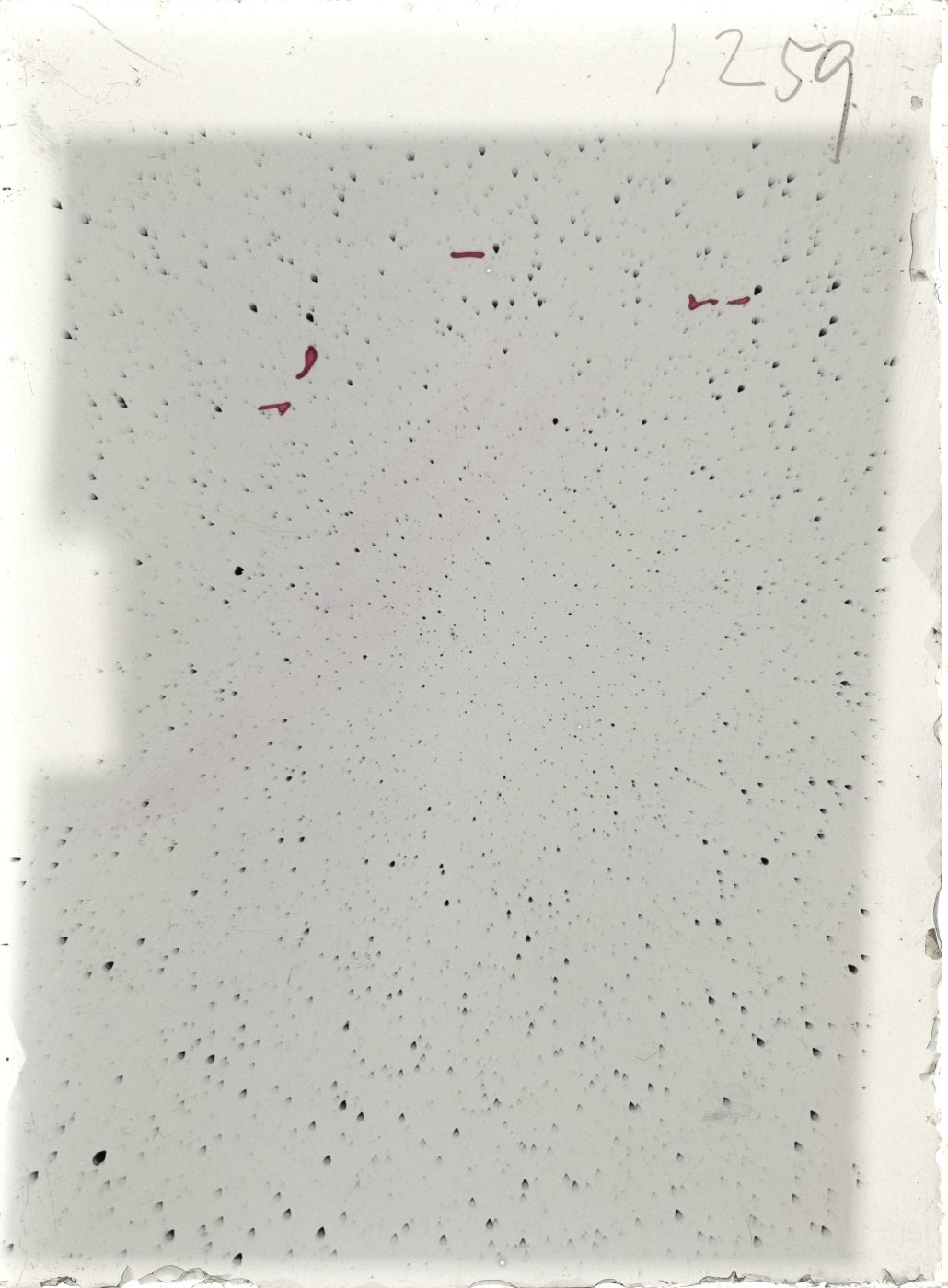 Scan ST01259