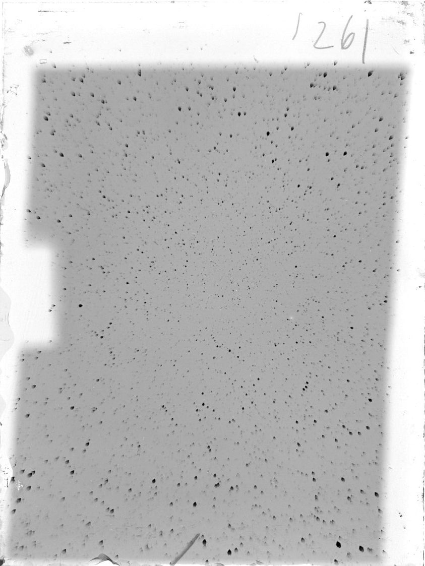 Scan ST01261