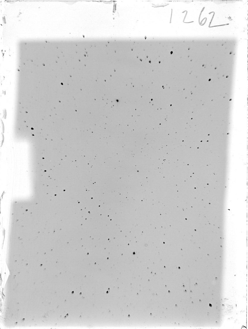Scan ST01262