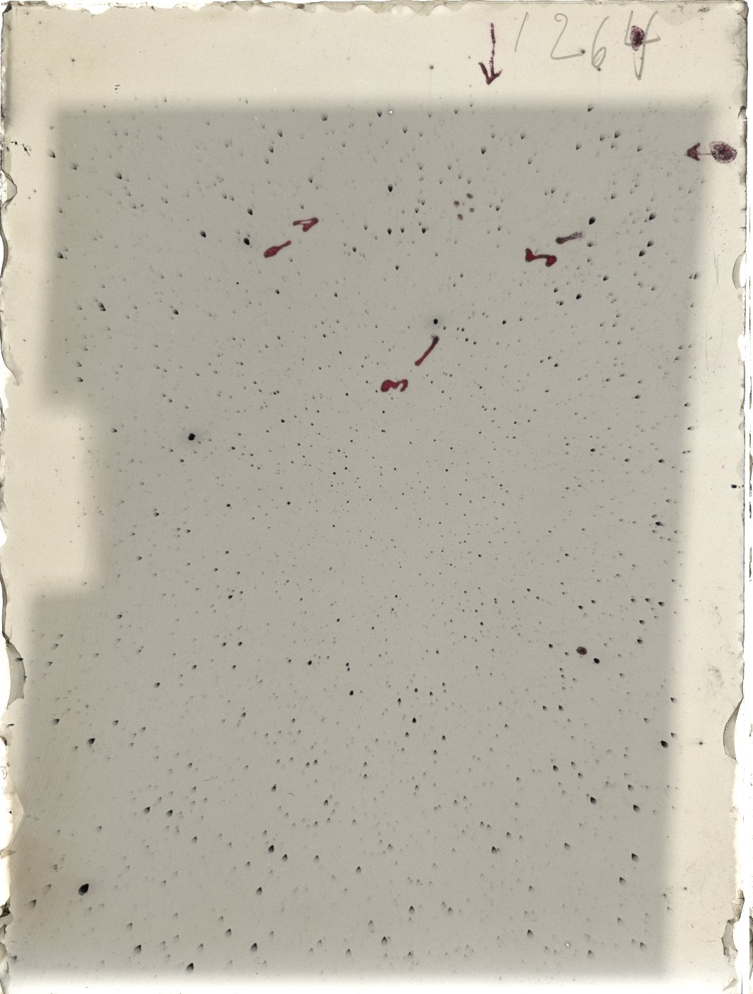 Scan ST01264