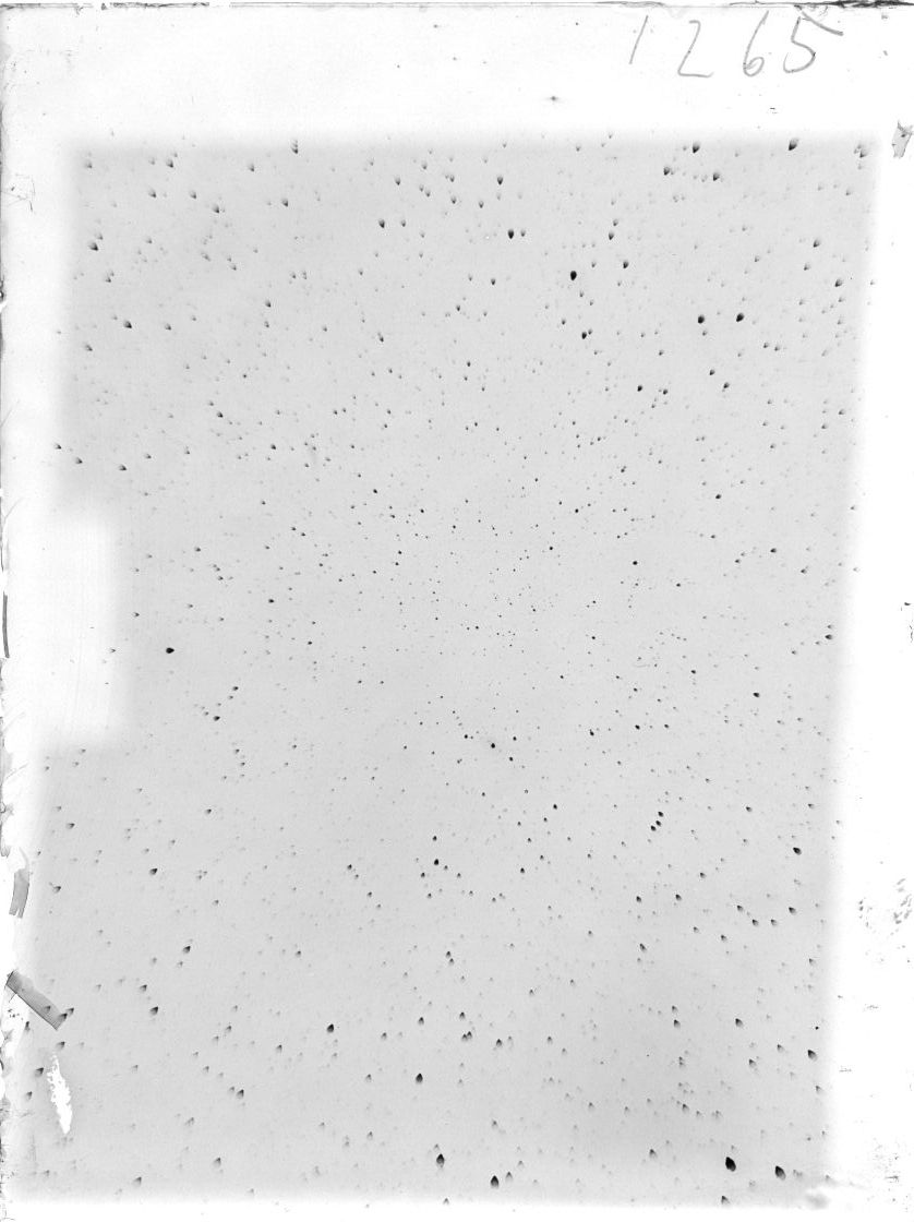 Scan ST01265