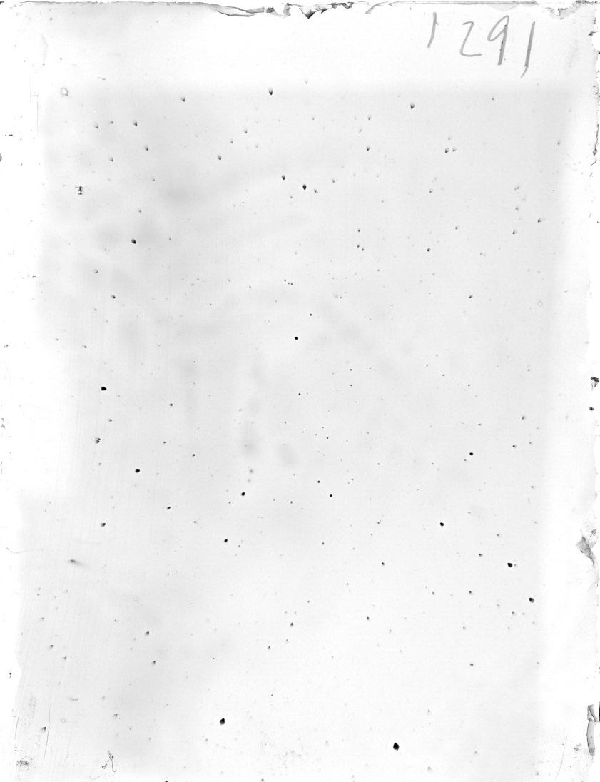 Scan ST01291