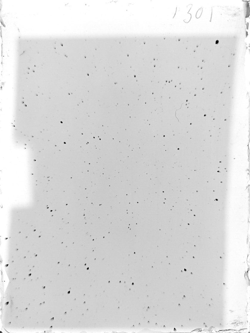 Scan ST01301