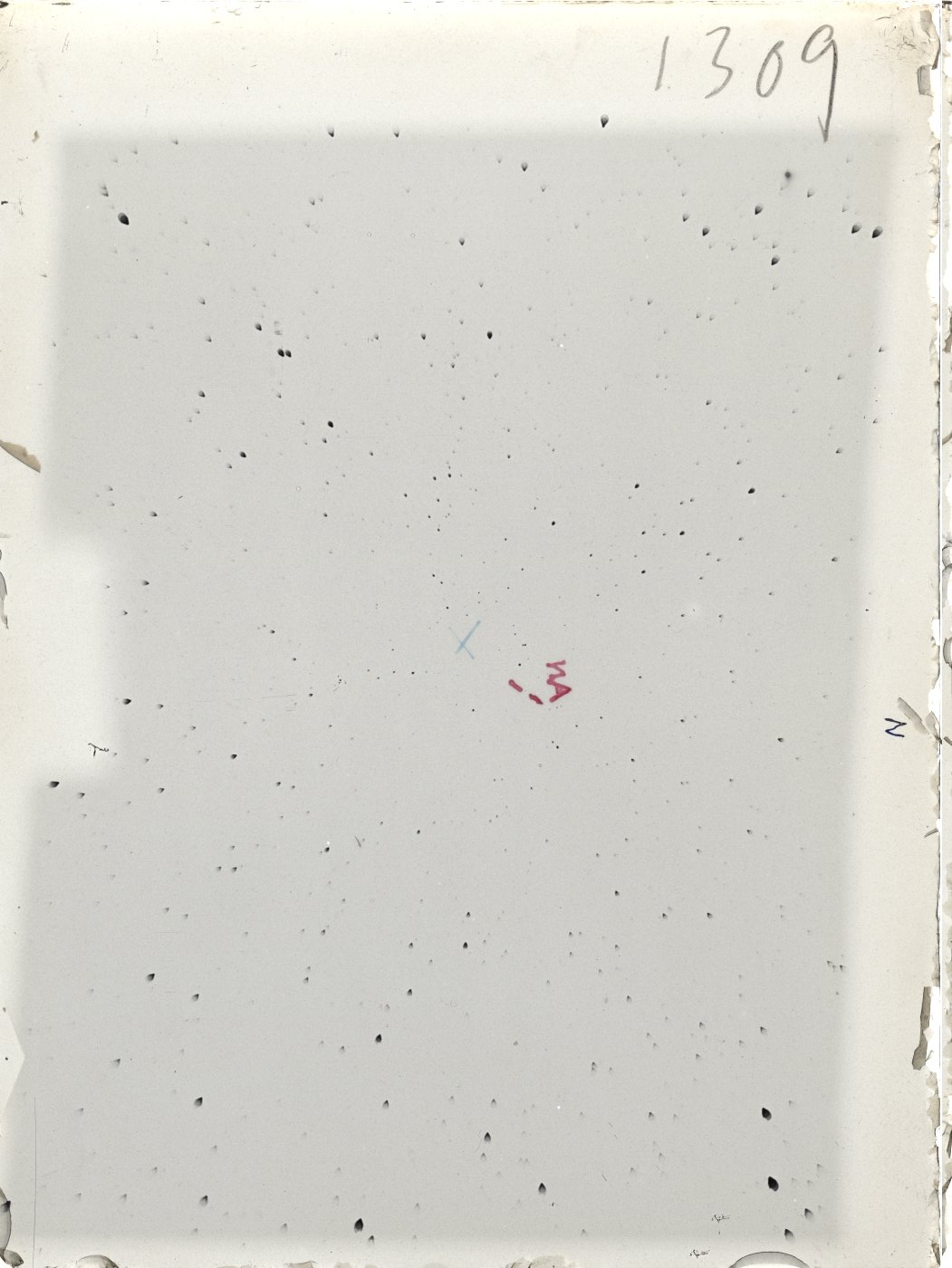 Scan ST01309