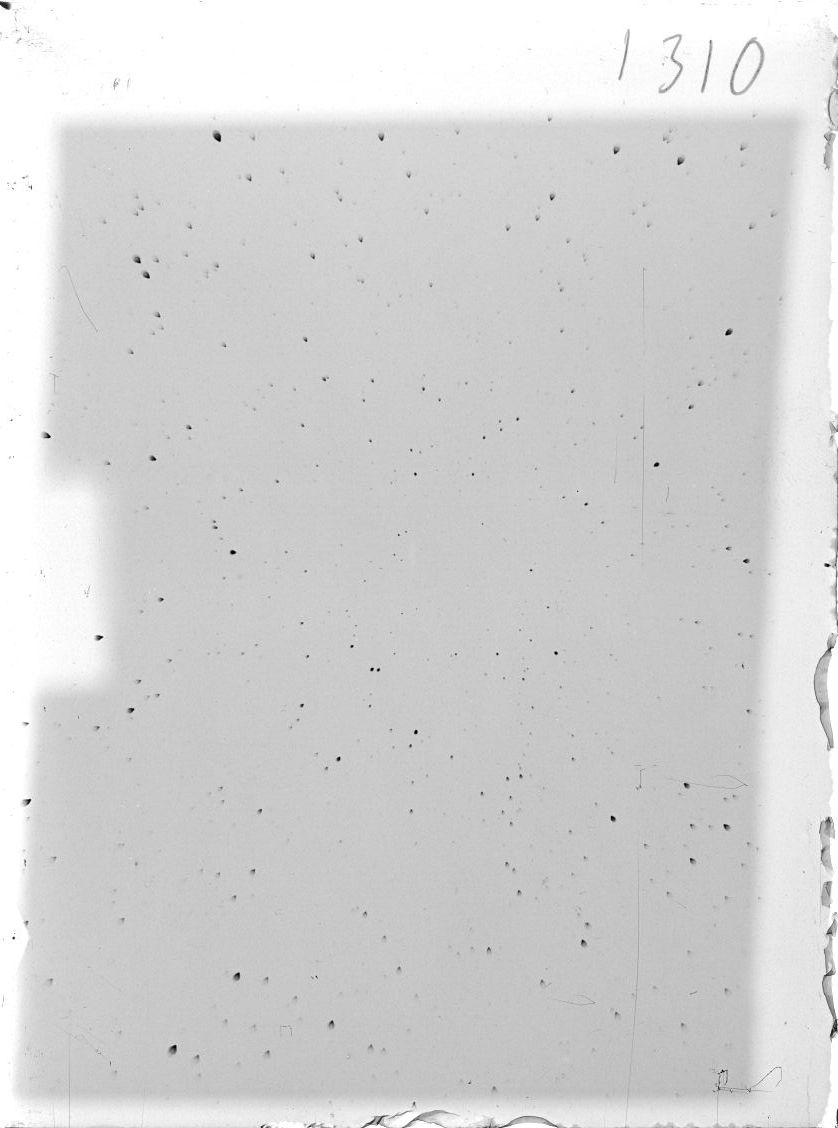 Scan ST01310