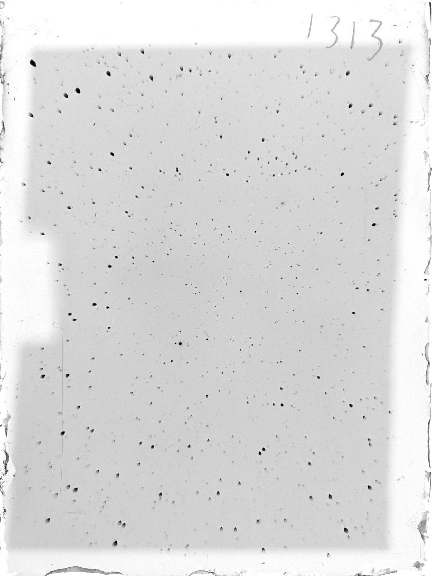 Scan ST01313