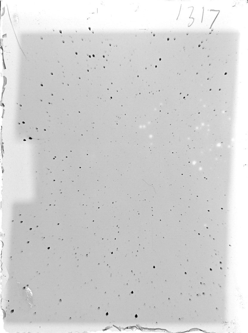 Scan ST01317