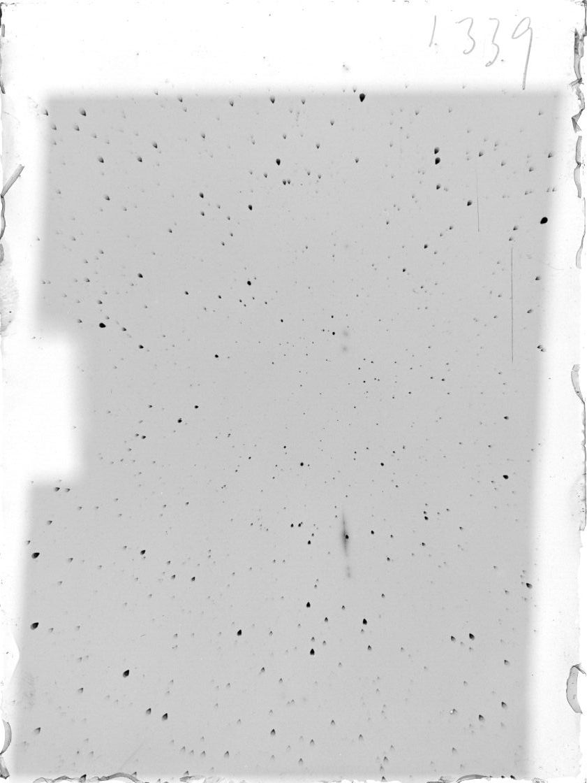 Scan ST01339