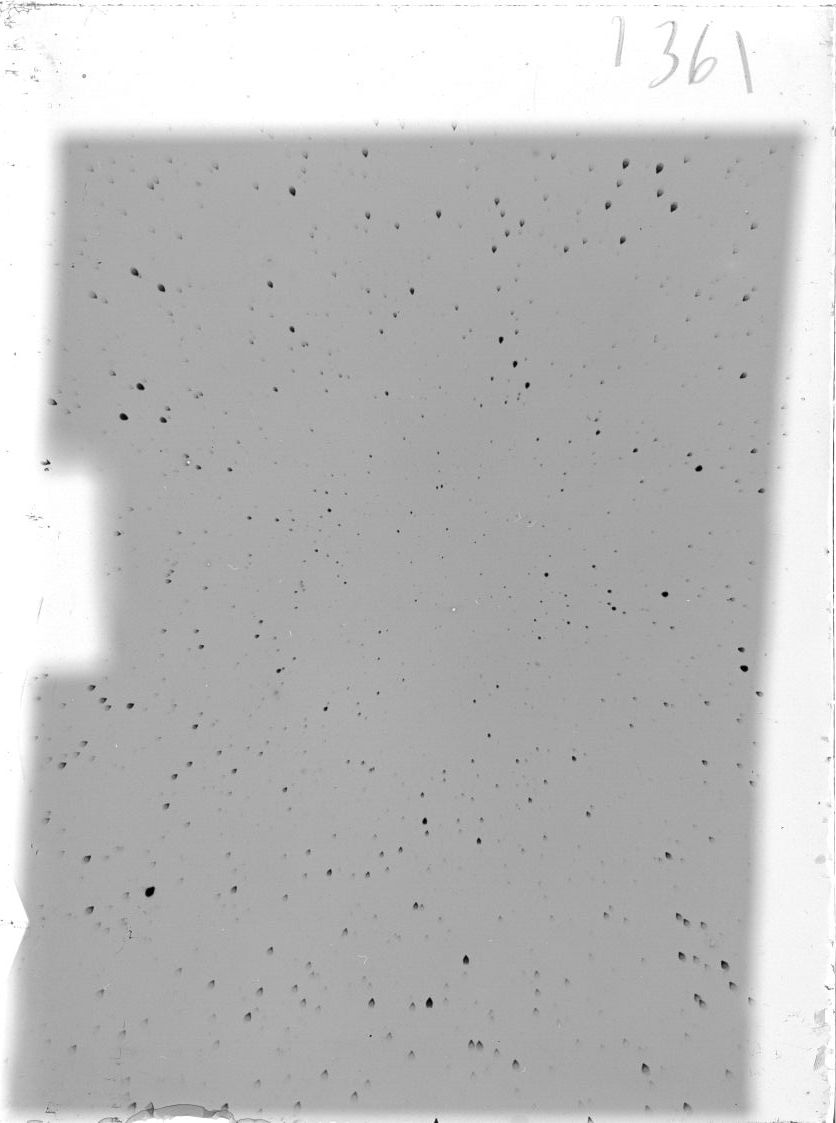 Scan ST01361