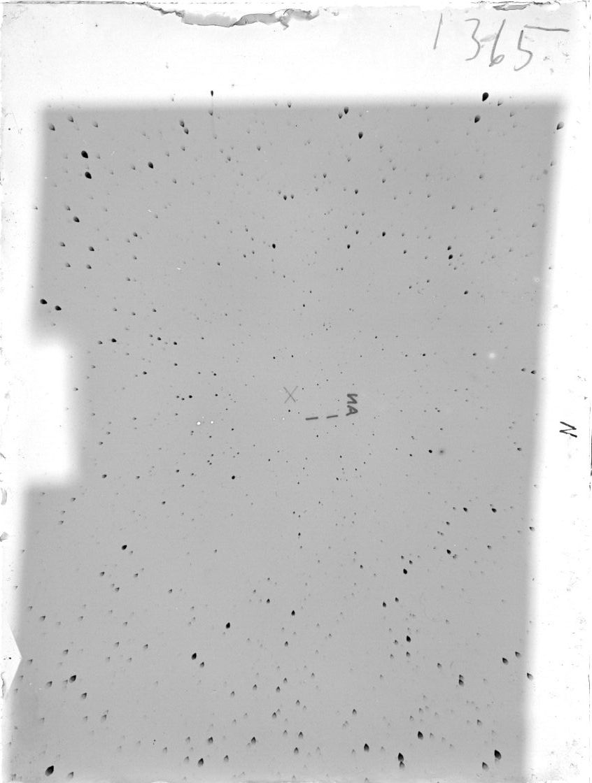 Scan ST01365