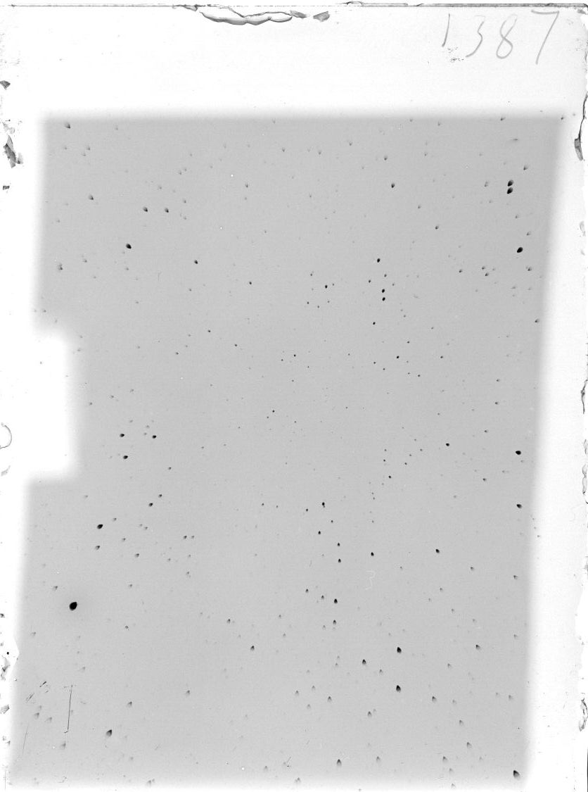 Scan ST01387